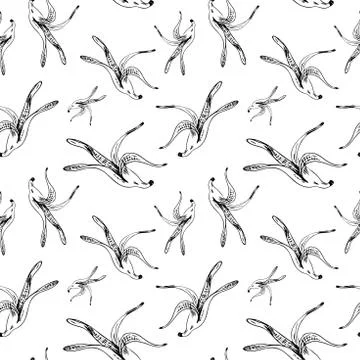 Banana peel pattern. Hand drawn banana skins on transparent backdrop. Sketch  Stock Illustration