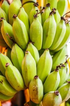 Banana Foto stock