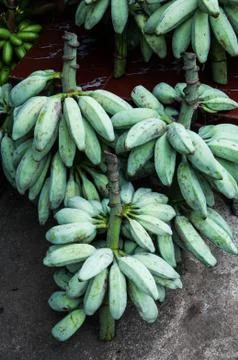 Banana Stock Photos