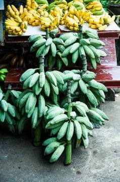 Banana Stock Photos