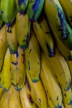 Banana Stock Photos
