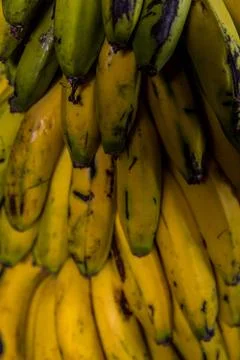 Banana Stock Photos