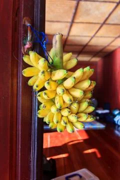 Banana Foto stock