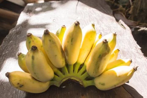 Banana Stock Photos