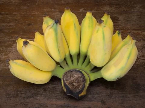 Banana Stock Photos