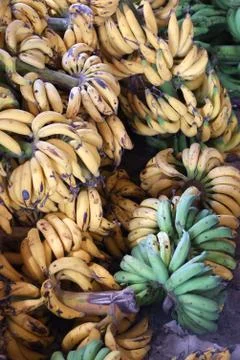 Banana Stock Photos