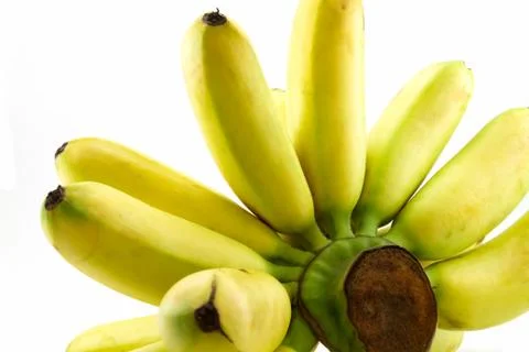 Banana Stock Photos