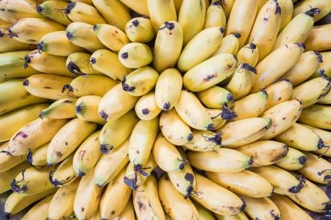 Banana Stock Photos