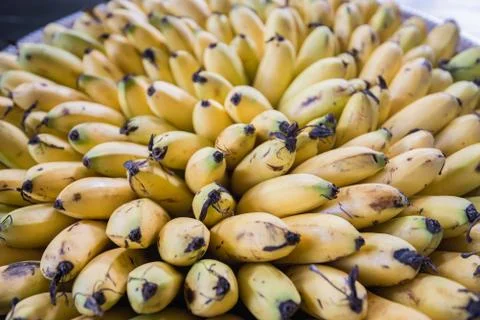 Banana Stock Photos