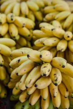 Banana Stock Photos