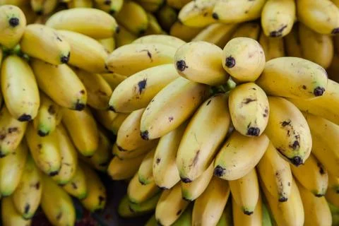Banana Stock Photos