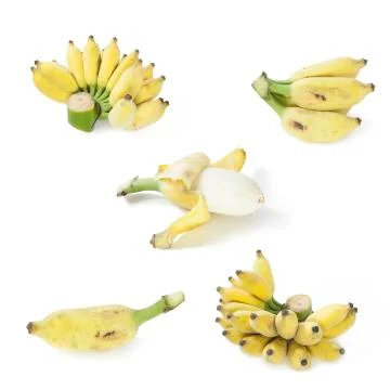Banana Stock Photos