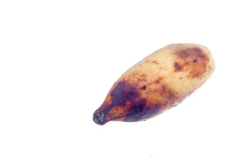 Banana Stock Photos