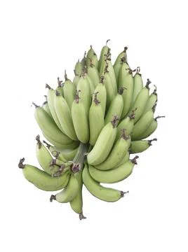 Banana Stock Photos