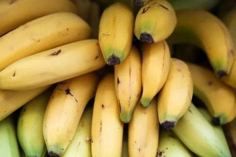 Banana Stock Photos