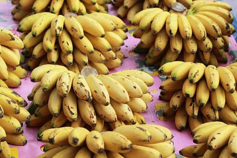 Banana Foto stock