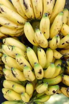 Banana Stock Photos