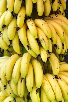 Banana Stock Photos
