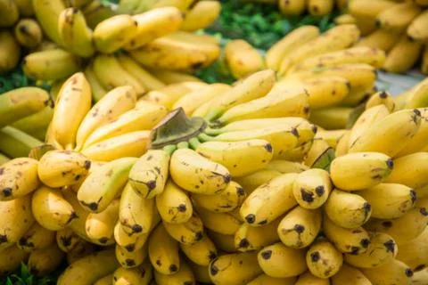 Banana Stock Photos