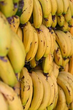 Banana Stock Photos