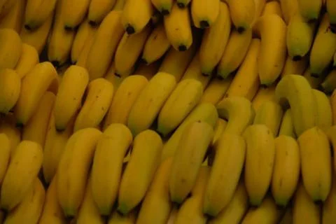Banana Stock Photos