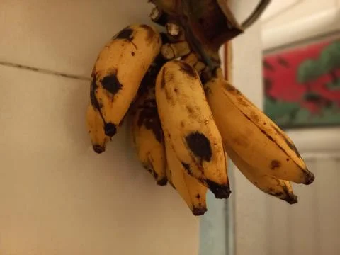 Banana Stock Photos