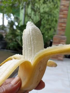 Banana Stock Photos