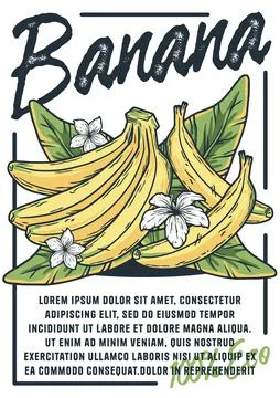 Banana poster. Summer exoic fruit and nuts design Stock Illustration