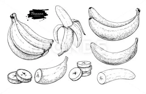 Watercolor Drawing Bananas Banana Peeled Skin Stock Illustration 1756080965  | Shutterstock