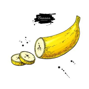 Banana sliced piece vector drawing. Isolated hand drawn object on white bac.. Stock Illustration