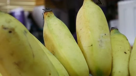 Banana Thai fruit. Stock Footage 228019738
