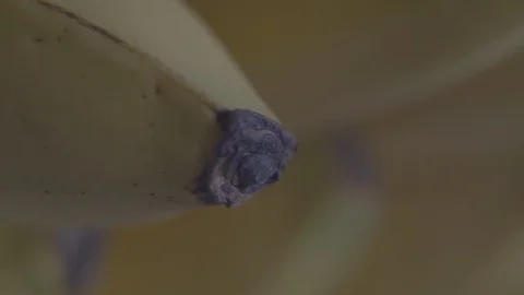 Banana Tips in Slow Motion Stock-Footage 129205758