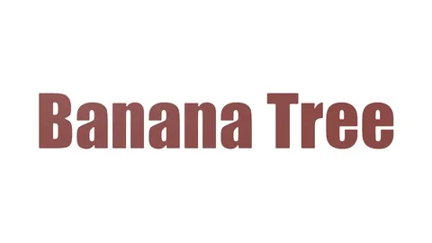 Banana Tree Isolated Stock Video Footage 