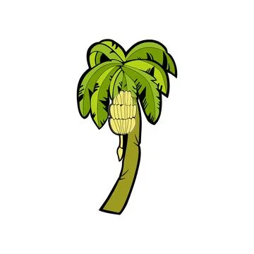 Banana tree icon vector isolated on white background for your web Stock Illustration