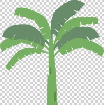 Banana tree Stock Photos
