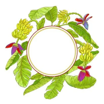 Banana  vector frame Stock Illustration