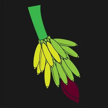 Banana vector illustration design Stock Illustration