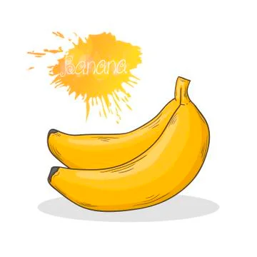 Banana vector illustration Stock Illustration