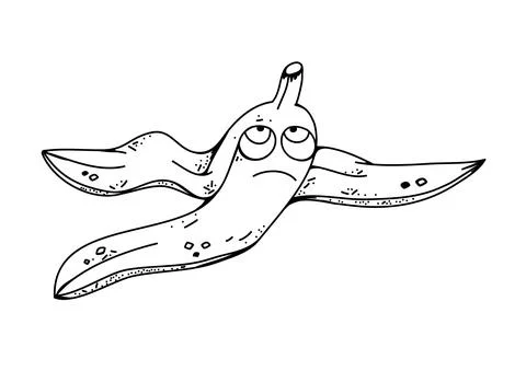 Banana vector illustration. Stock Illustration