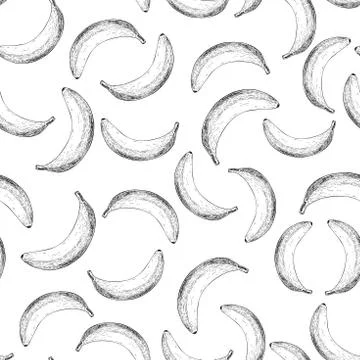 Banana vector seamless pattern. Isolated hand drawn object on white backgro.. Stock Illustration
