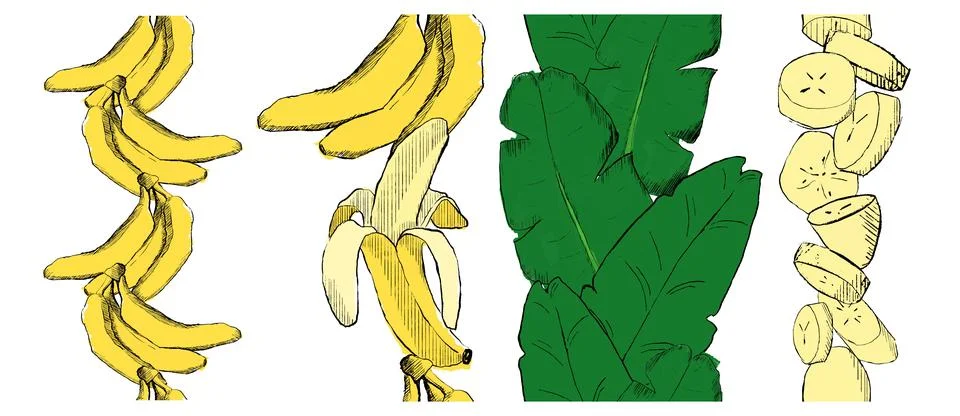 Banana vertical seamless border vector set. graphic illustration of bananas, Stock Illustration