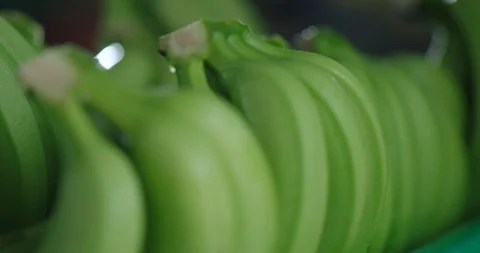 Bananas aligned Video stock 125080841