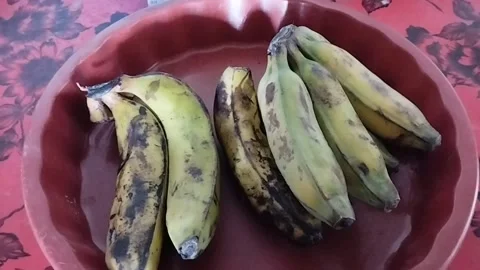 Bananas that are pulled on an orange tray Stock Footage 219198620