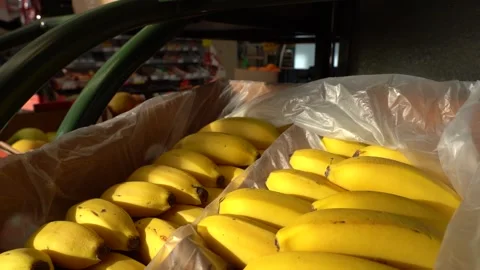 Bananas in Boxes in the Store Stock Footage 170007435