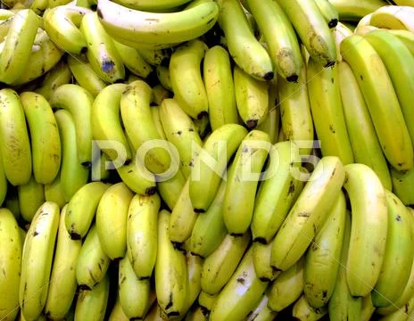Bananas bunches Stock Photos