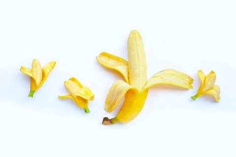 Bananas of different sizes on white background. Sexual and size penis concept Stock Photos