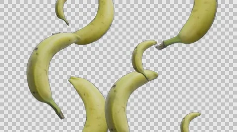 Bananas falling alpha 4k 库存影片 62830772
