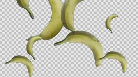 Bananas falling alpha 4k Stock Footage 62865878