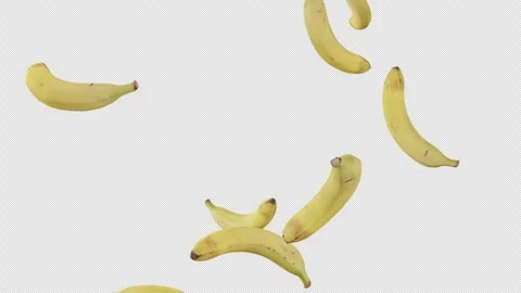 Bananas falling down in slow motion on transparent background. Stock Footage 252362048