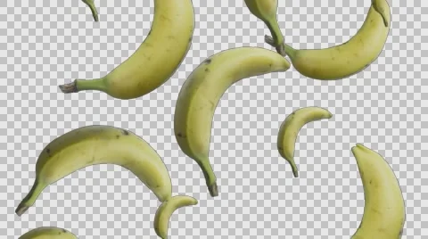 Bananas falling from left to right alpha 4k Stock Footage 62863282